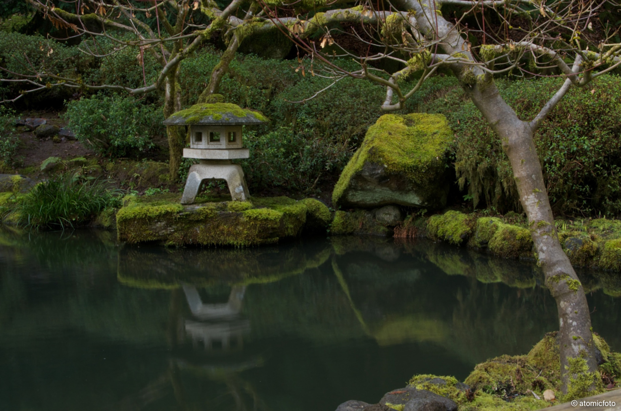 Garden Meditation - Portland Japanese Garden - atomicFOTO